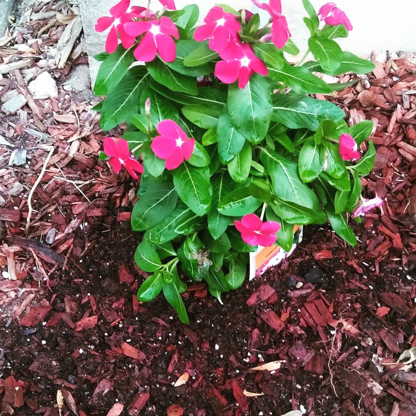 IMG_20170905_001438_819