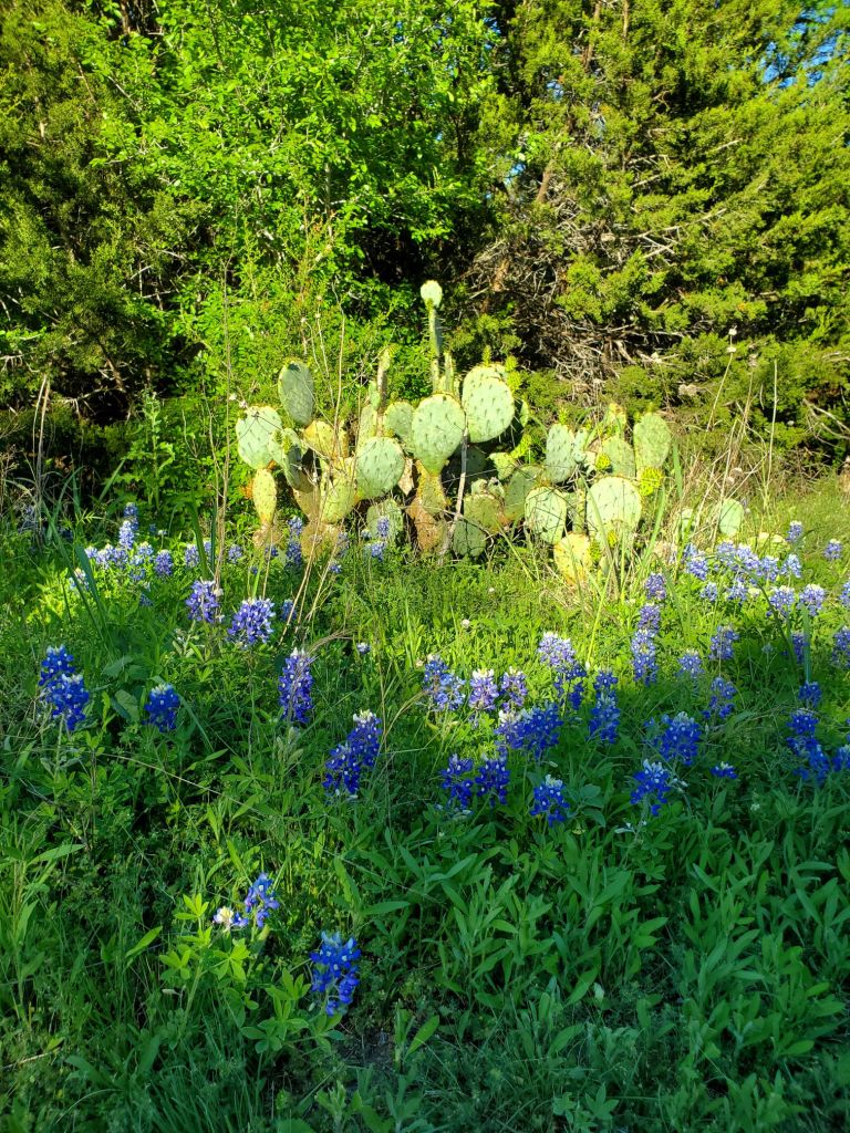 20240402_1811481823546845498013788