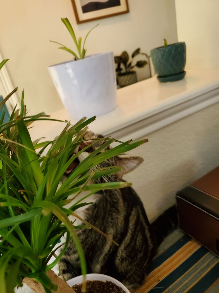 20240419_1548476260273211217472700