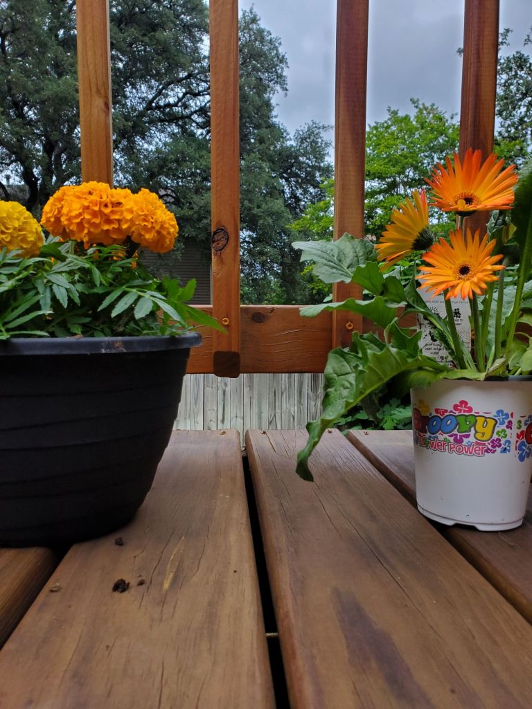 20240427_1948177571051608976129769