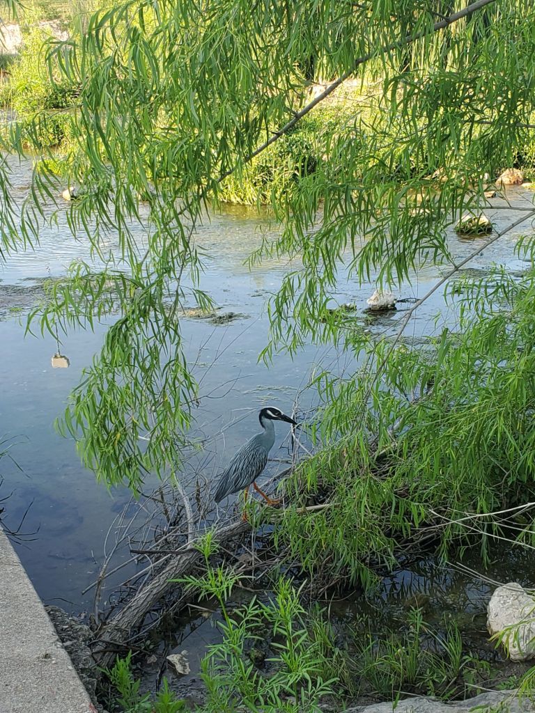 20240429_1841314844697105866734456