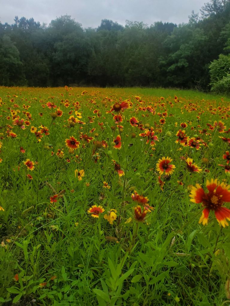 20240503_1758254534813972760918422