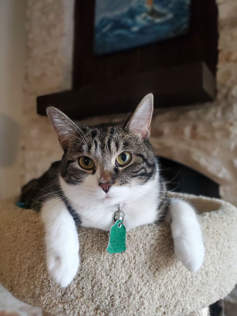 20240504_0957296501155162389608071