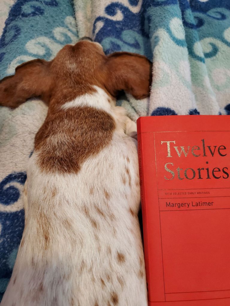 20240504_1447281938222524754270312