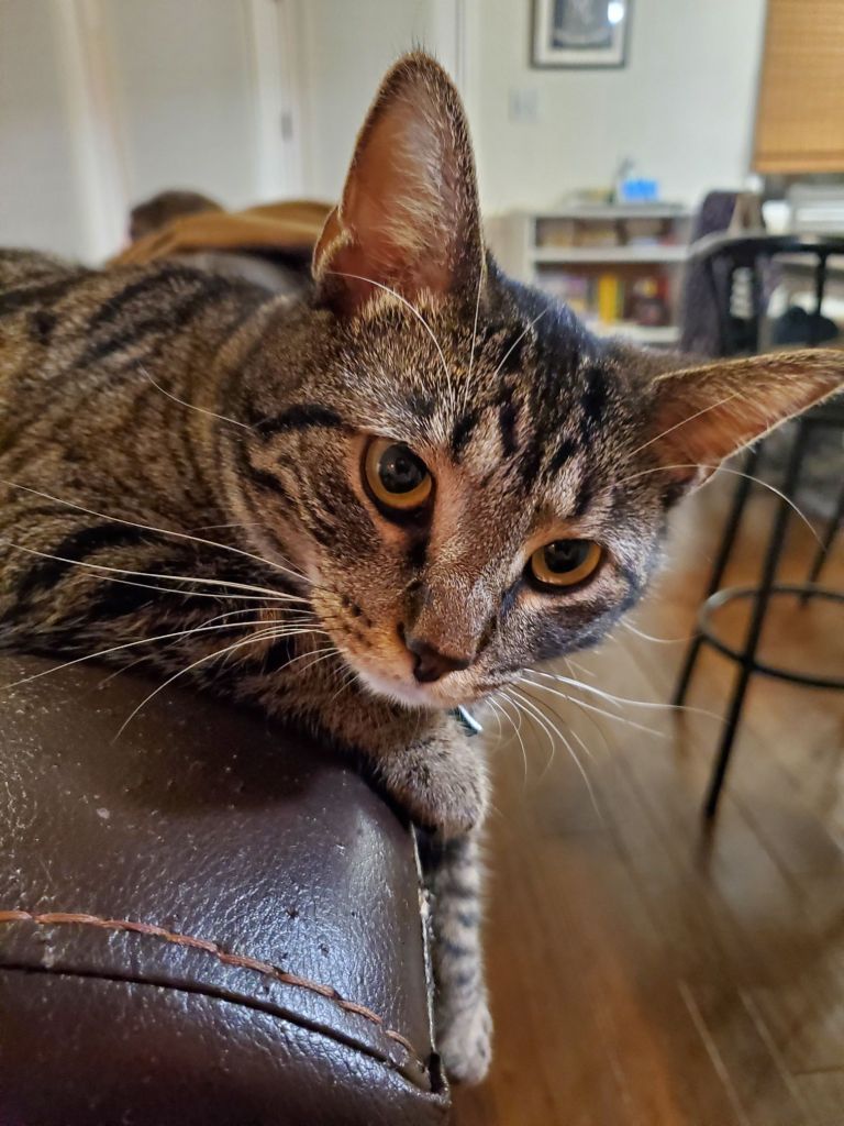 20240504_2038536151636326195840084