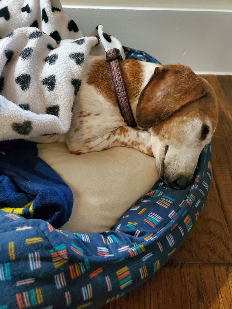 20240509_1056006044657769290038209