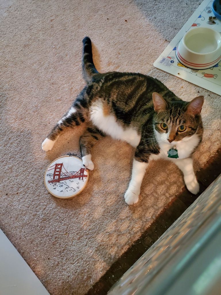 20240510_1050023030389386938407198