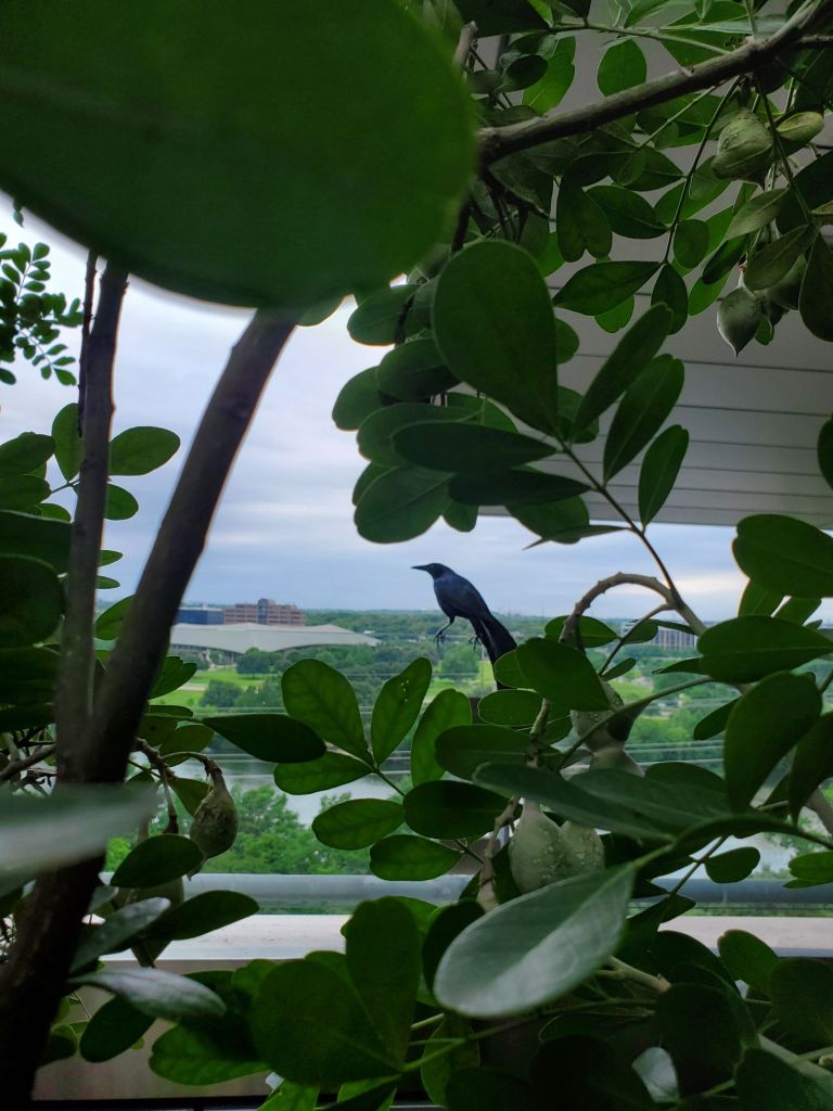 20240511_1627543054995479112398751