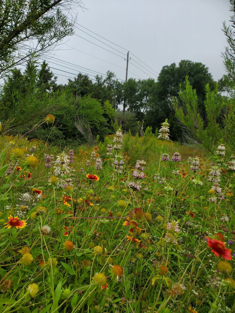 20240512_1554568261332177165077149