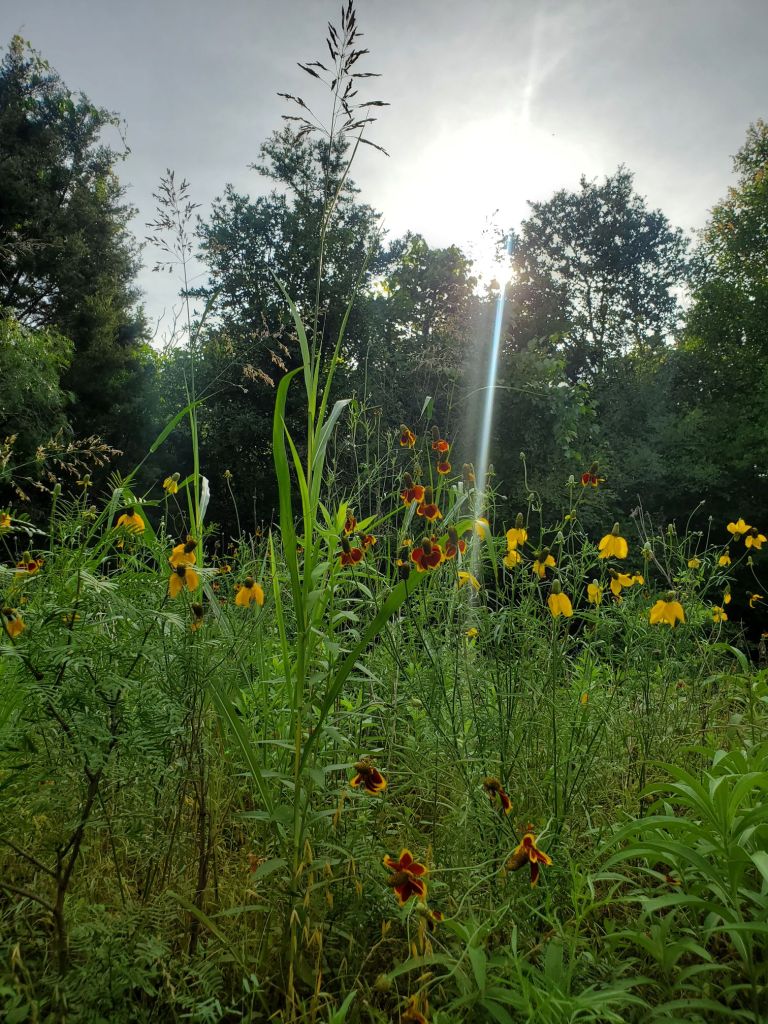 20240513_1816514406954298775597112