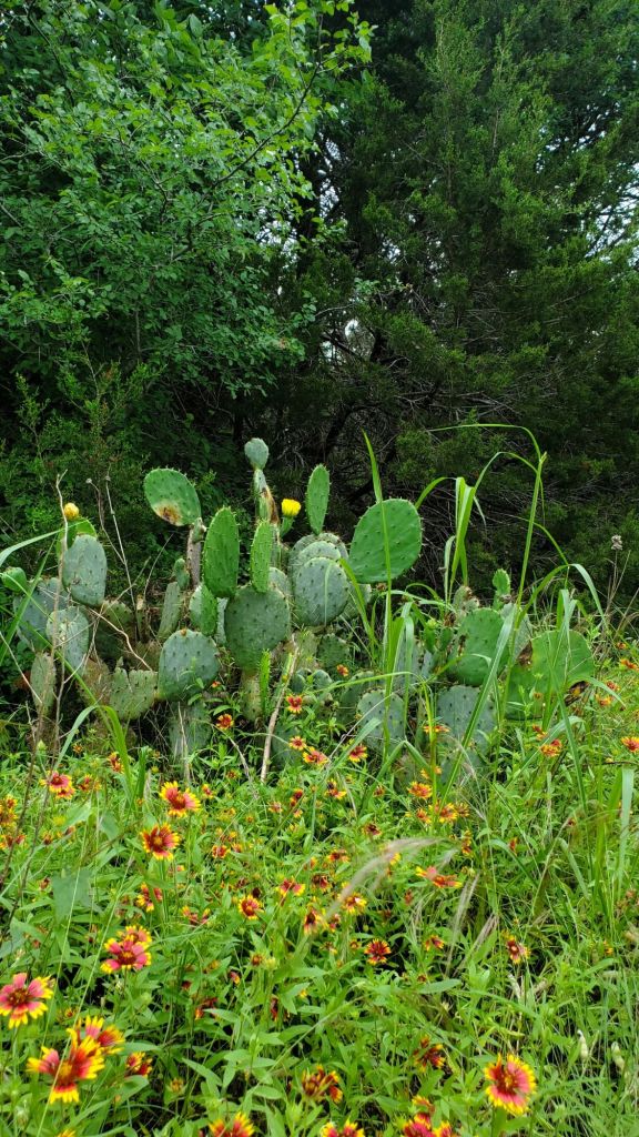 img_20240505_232820_3756176540994342301431