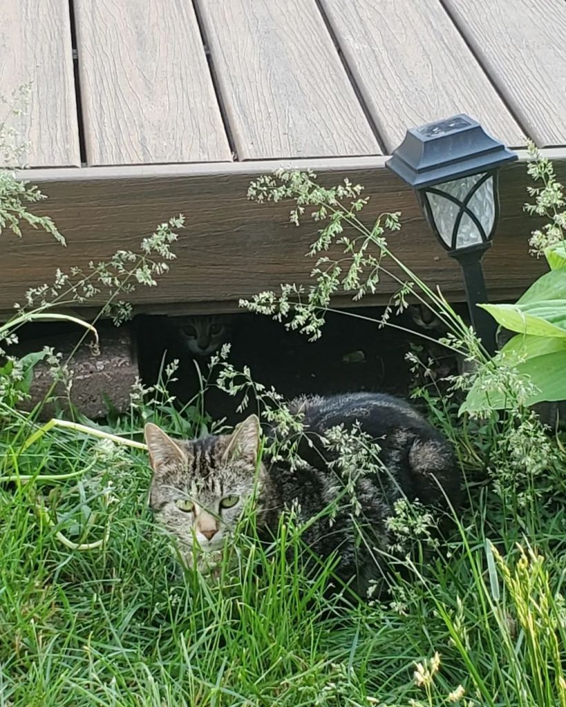 img_20240516_213417_8964375282926551133477