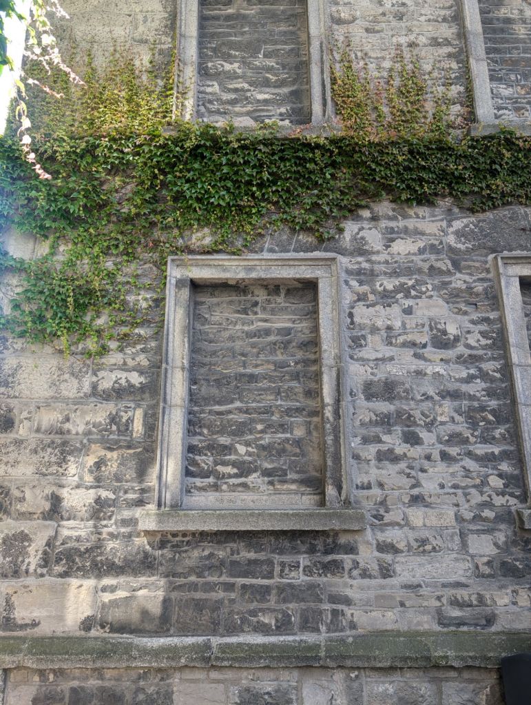 pxl_20240703_1504019751920687988482588652