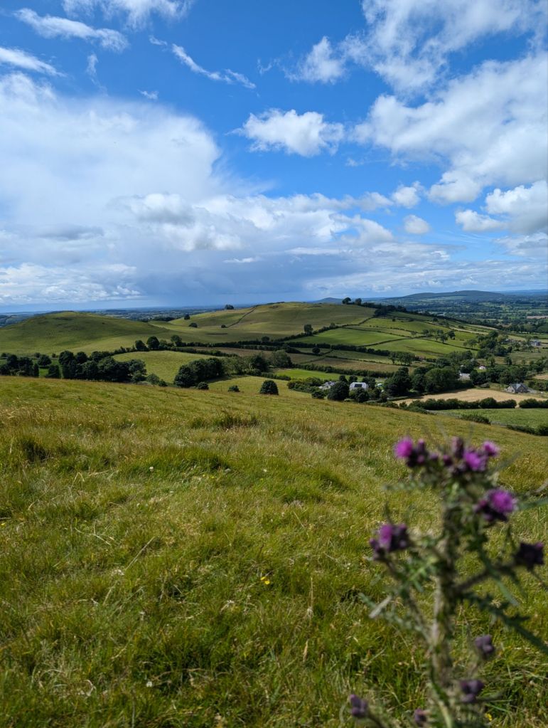 pxl_20240706_1246423541104075896023221718