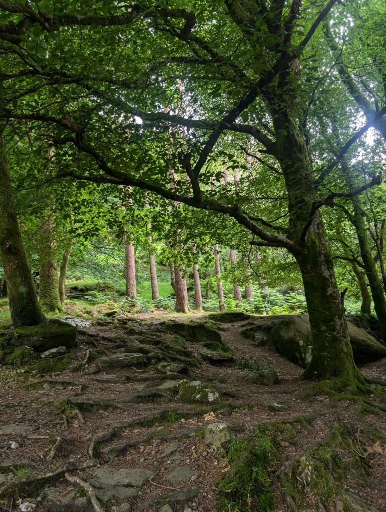 pxl_20240710_1500154217926531821758184995