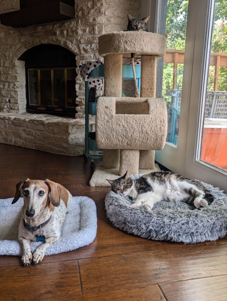 pxl_20240810_1859233625293940656614580131