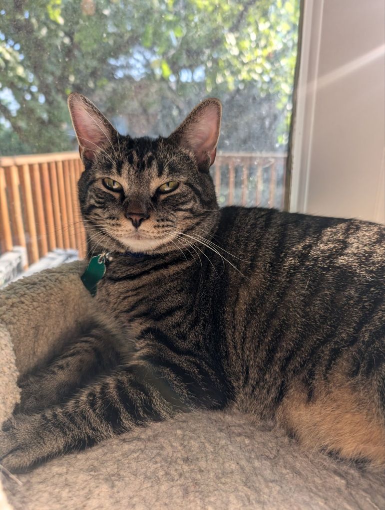 pxl_20240811_1359016422243427902376474312