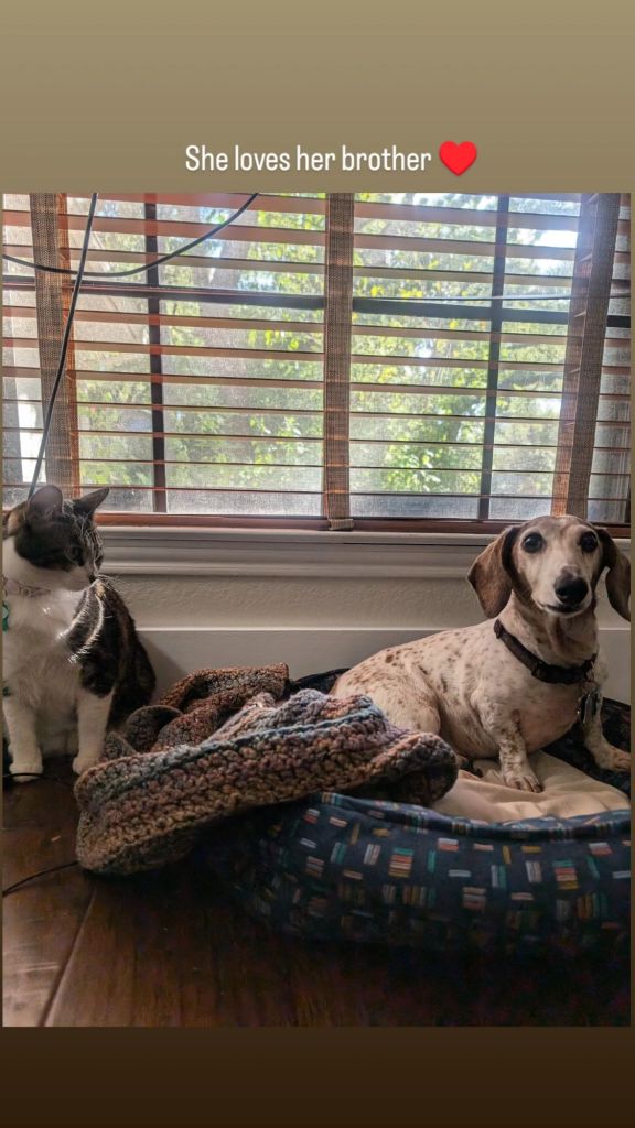 img_20240919_230320_9672114383369408378012