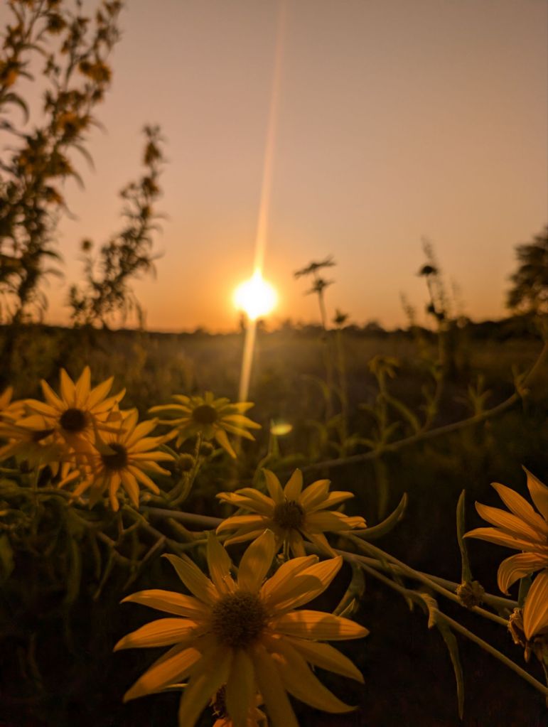 pxl_20241010_2337491543955913908407066128