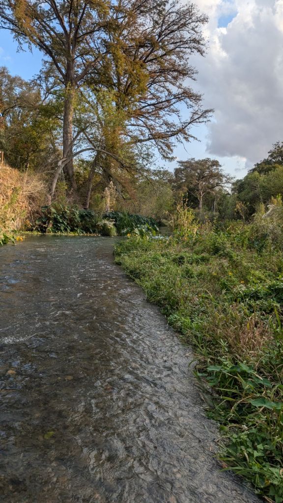 pxl_20241102_2219497112406318817711874192