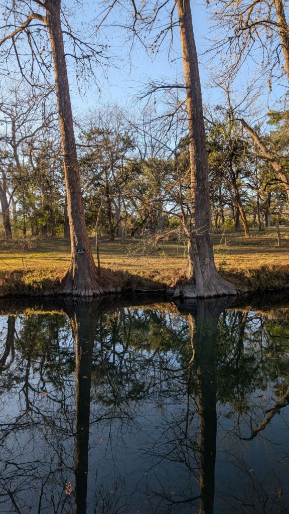 pxl_20241230_2232312121530201779209772157